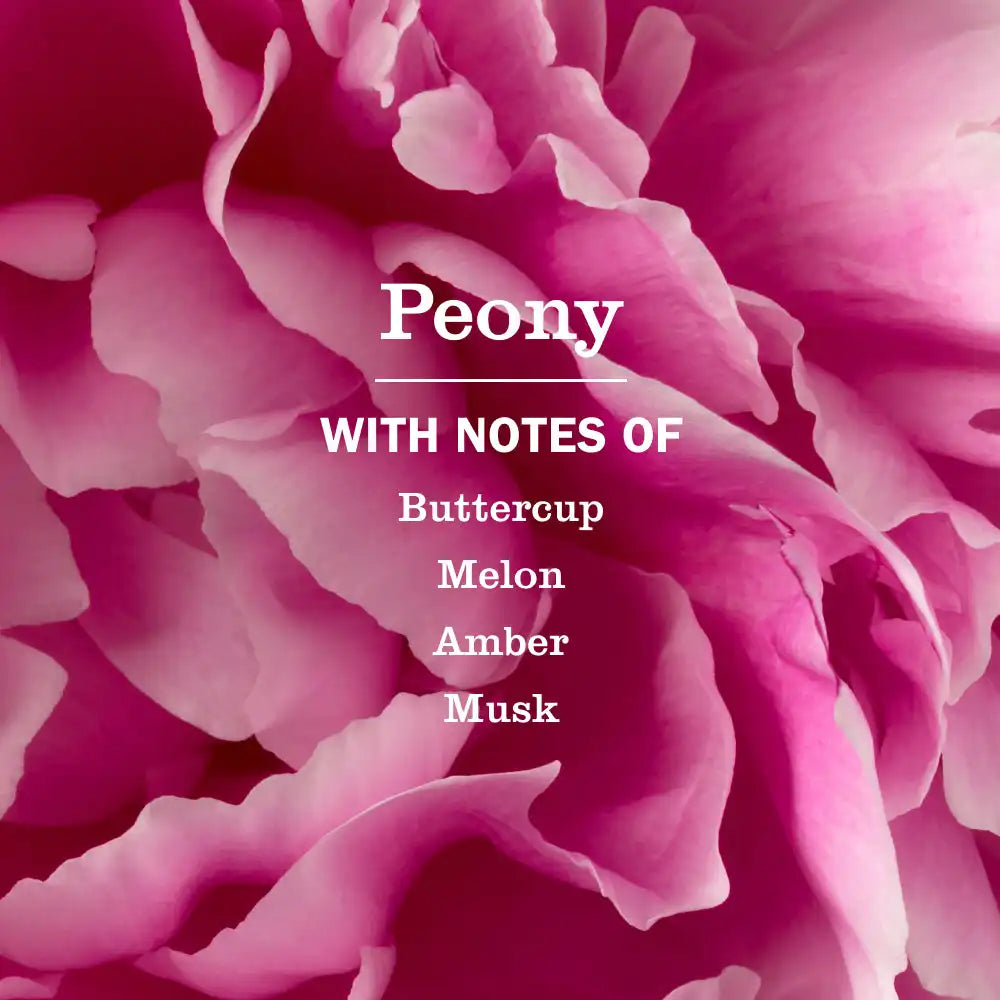 Peony Multi-Surface Concentrate
