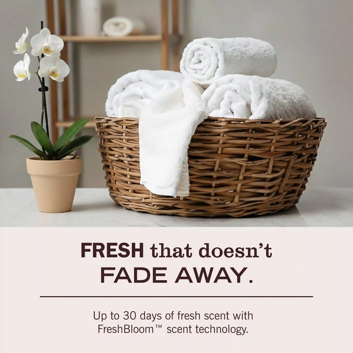Honeysuckle Laundry Detergent