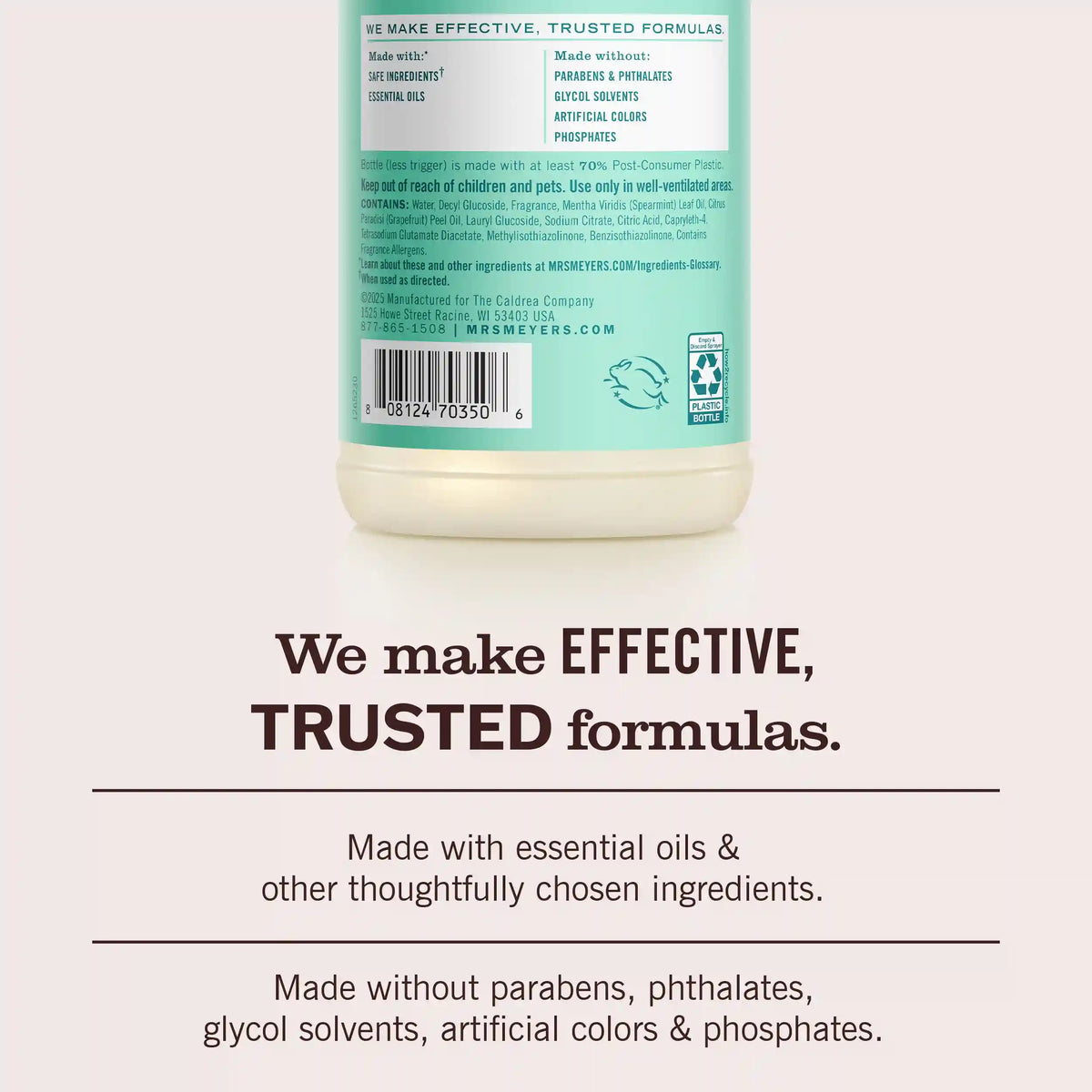 Mint Multi-Surface Everyday Cleaner