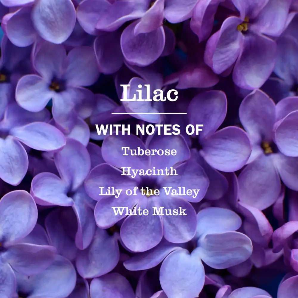 Lilac Multi-Surface Everyday Cleaner