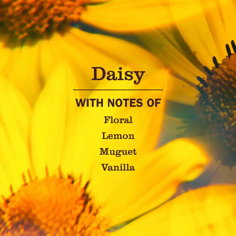 Daisy Liquid Hand Soap 3-count Bundle