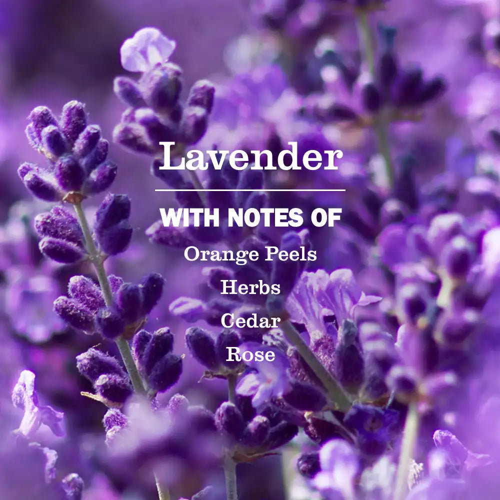 Lavender Dish Soap Refill