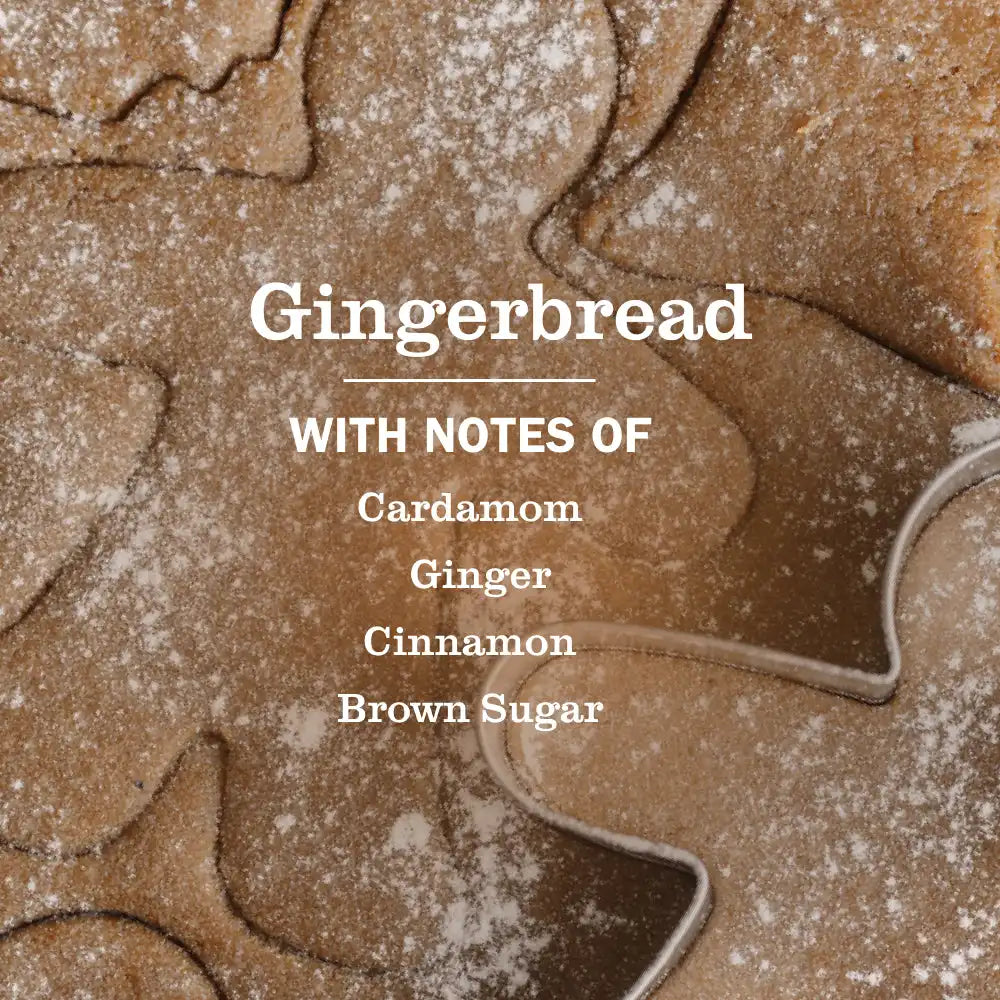 Gingerbread Kitchen Basics Set