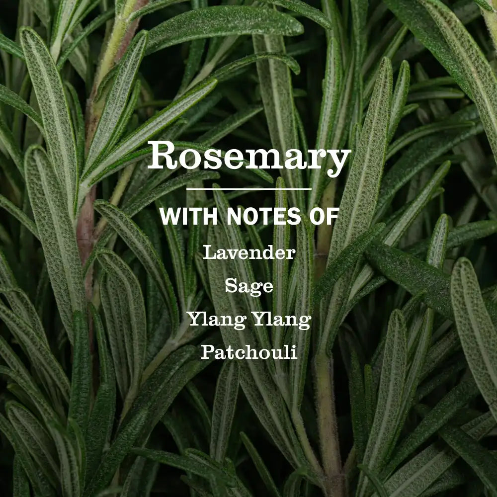 Rosemary Multi-Surface Everyday Cleaner